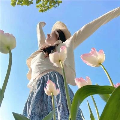 来自红花坂